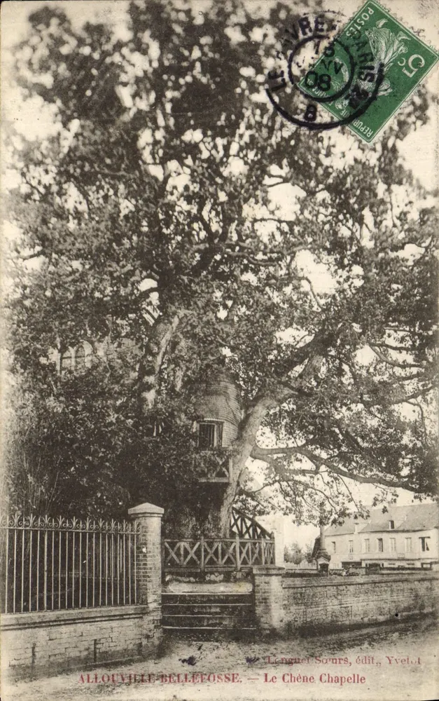 Allouville-Bellefosse — Der Kapellen-Birke — Lenguel Sourrs, Verlag, Yvelines - Vorderseite