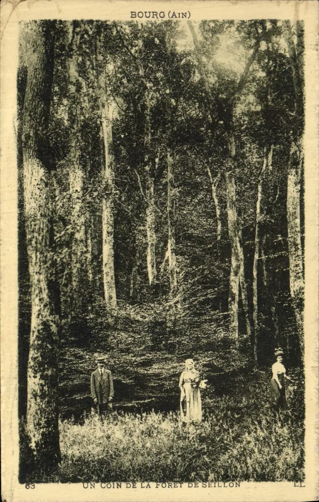Bourg (Ain) — Ein Stück der Seillon-Wälder — LL - Vorderseite