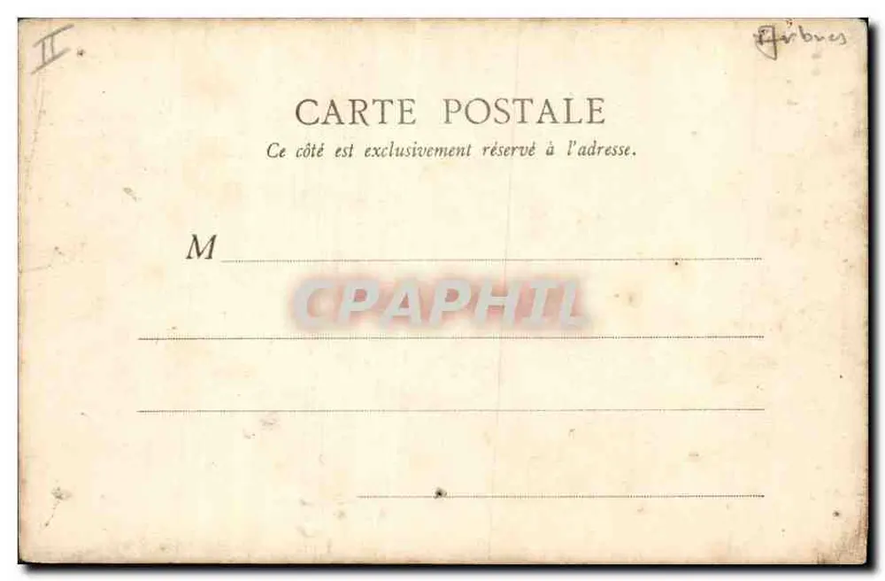 PARIS — Zedern des Jardin des Plantes — B.F. Paris, Nr. 121 - Rückseite