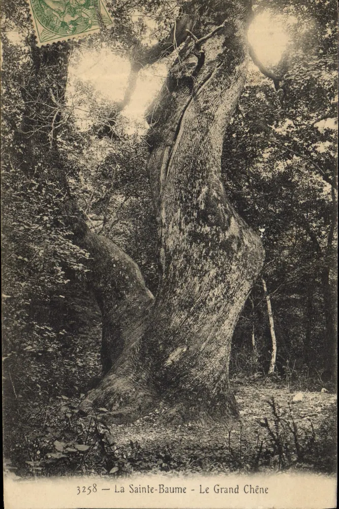 La Sainte-Baume — Der große Eiche — Verlag Kypre & Jacotte, Nr. 3258 - Vorderseite