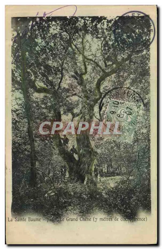 La Sainte Baume - Der große Eichenbaum (7 Meter Umfang) — Verleger nicht sichtbar - Vorderseite