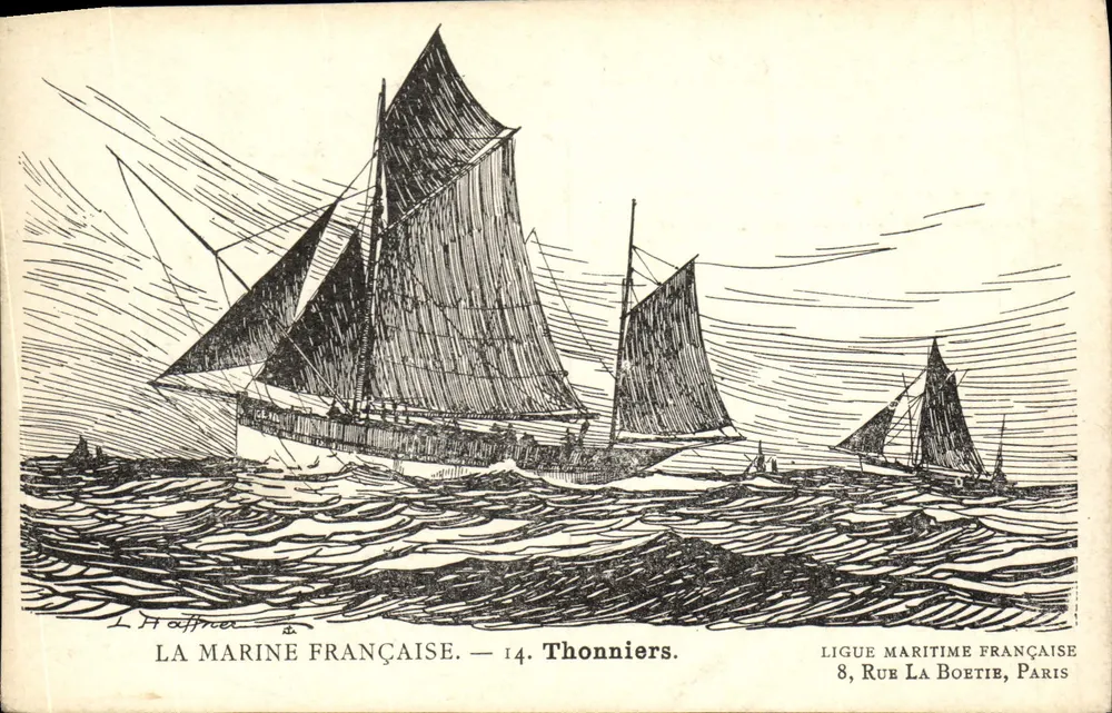 Französische Marine — 14. Thonnières — Französische Maritime Liga, 8, Rue La Boétie, Paris - Vorderseite
