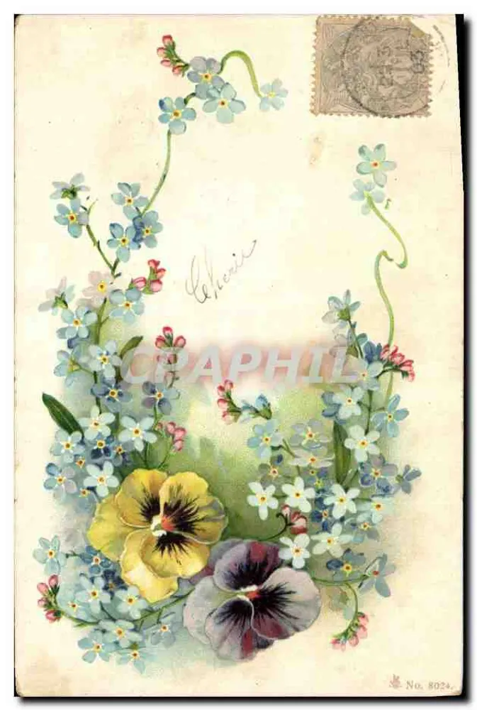 Bloemen — Forcilles en gedachten — Anonieme uitgever, Nr. 8024 - Voorkant