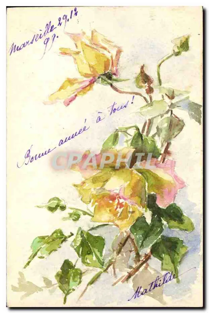 Rosas amarelas e rosas — ilustração aquarelada — Mathilde, Marselha - Frente