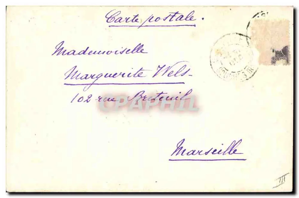 Rosas amarelas e rosas — ilustração aquarelada — Mathilde, Marselha - Verso
