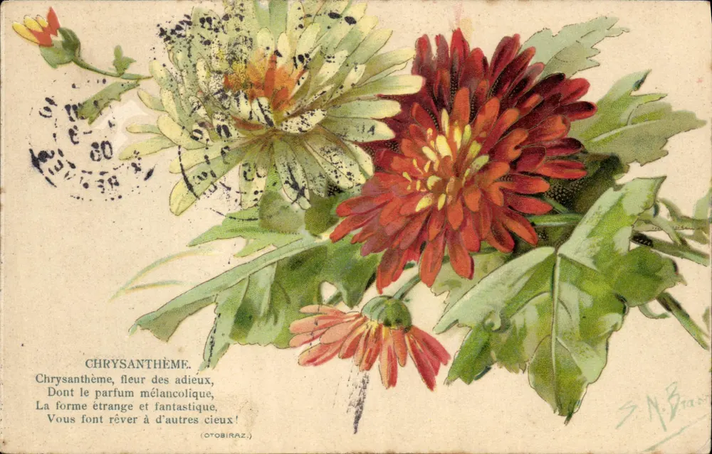Chrysântemo — poema — K.F. Éditeurs, Paris, Série 635 - Frente