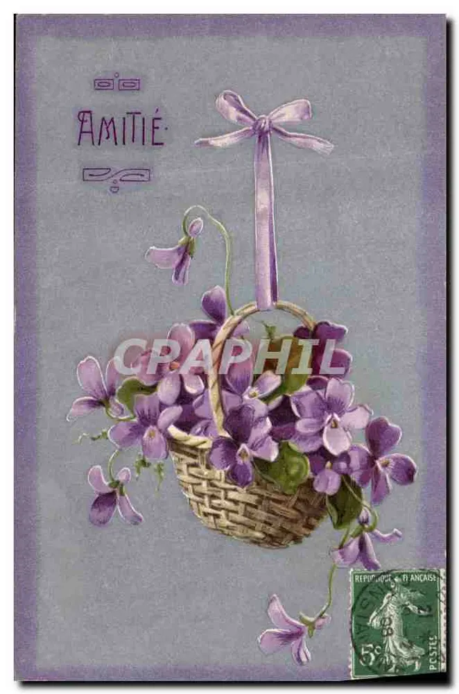Bouquet de violettes em um cesto — Amizade — editor não visível - Frente