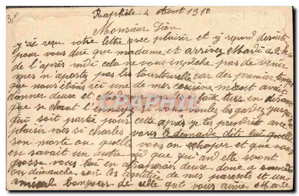 Violetas — arranjo em vaso — editor desconhecido, n° 31 - Verso
