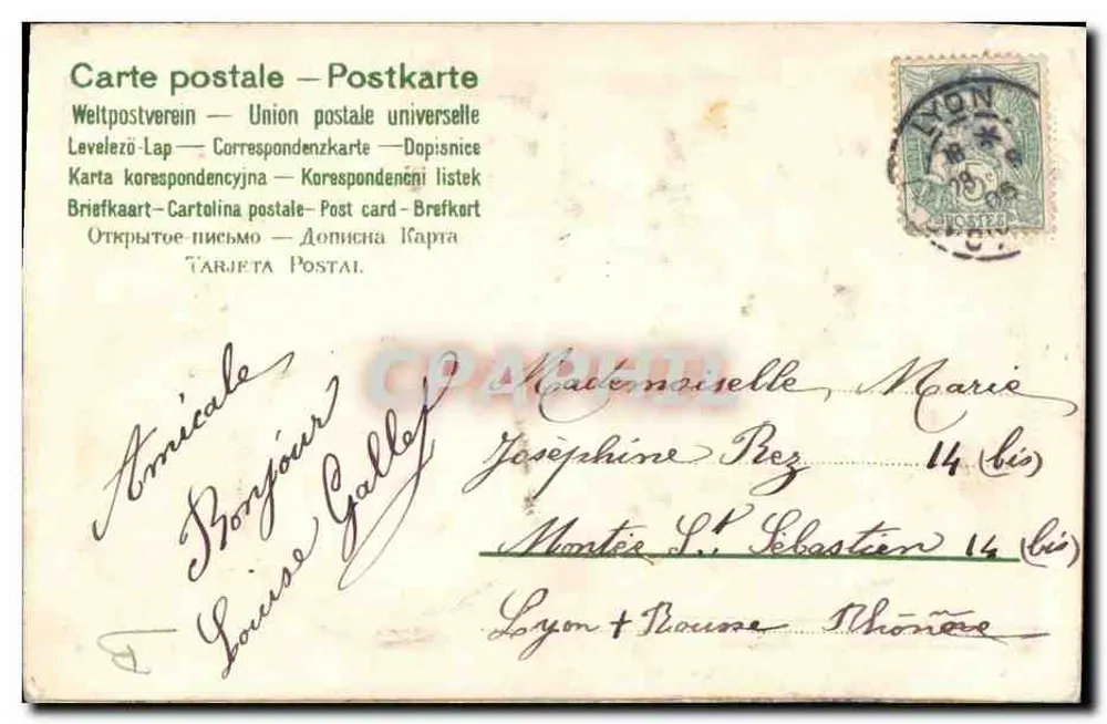 Flores azuis — decorações — Carta postal universal - Verso