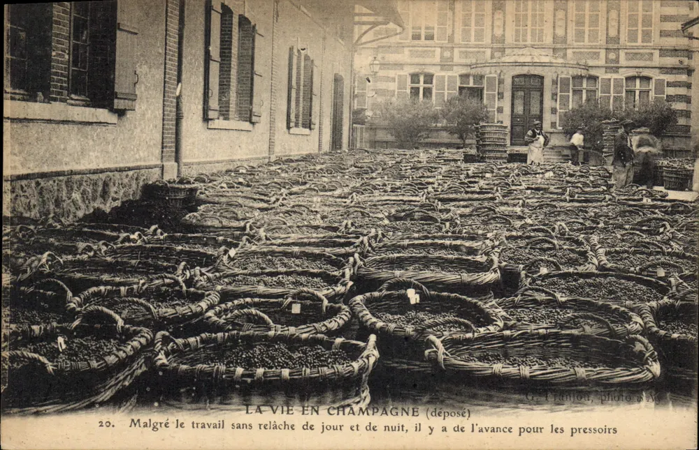 Das Leben in der Champagne — abgegeben — G. Franjou, Foto n°20 - Vorderseite