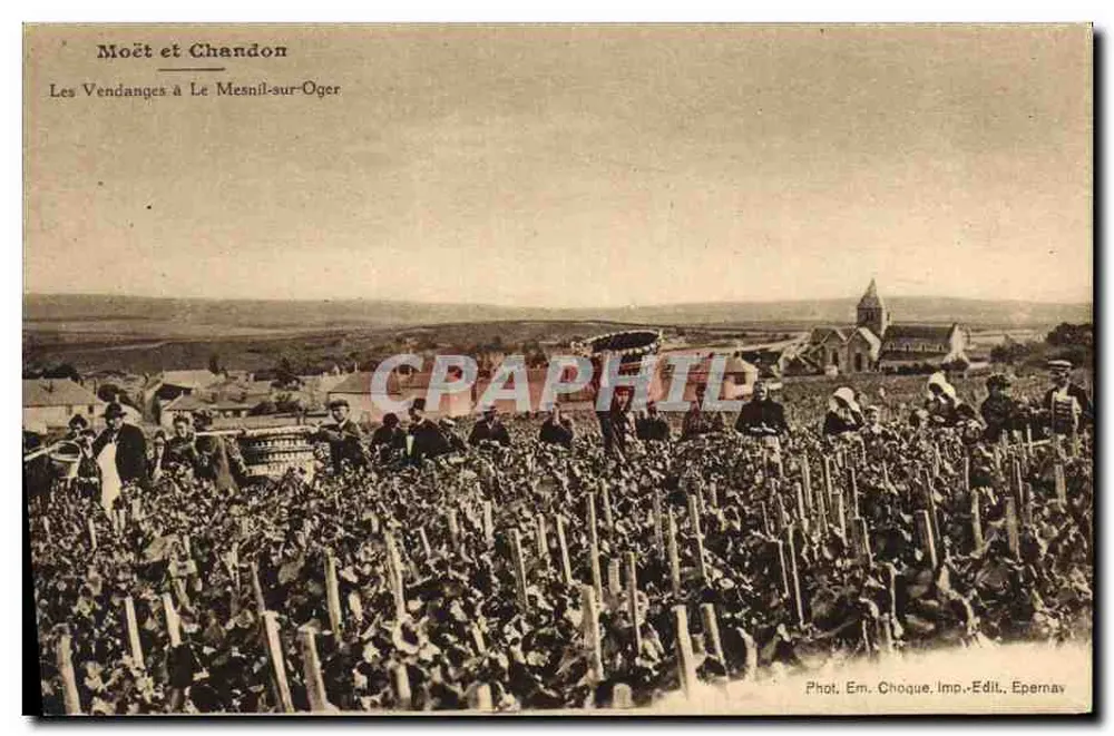 Die Weinlese in Le Mesnil-sur-Oger — Moët et Chandon — Foto. Em. Choque, Druck. Verlag Epernay - Vorderseite