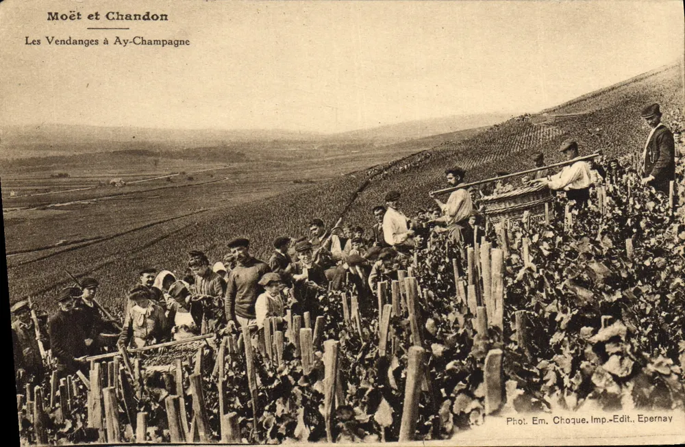 Die Weinlese in Ay-Champagne — Moët et Chandon — Foto. Em. Choque, Verlag Epernay - Vorderseite