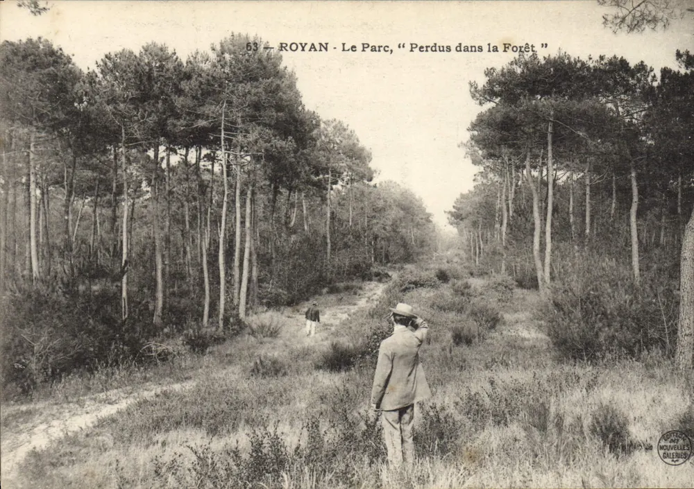 Royan - O Parque, "Perdidos na Floresta" - Frente