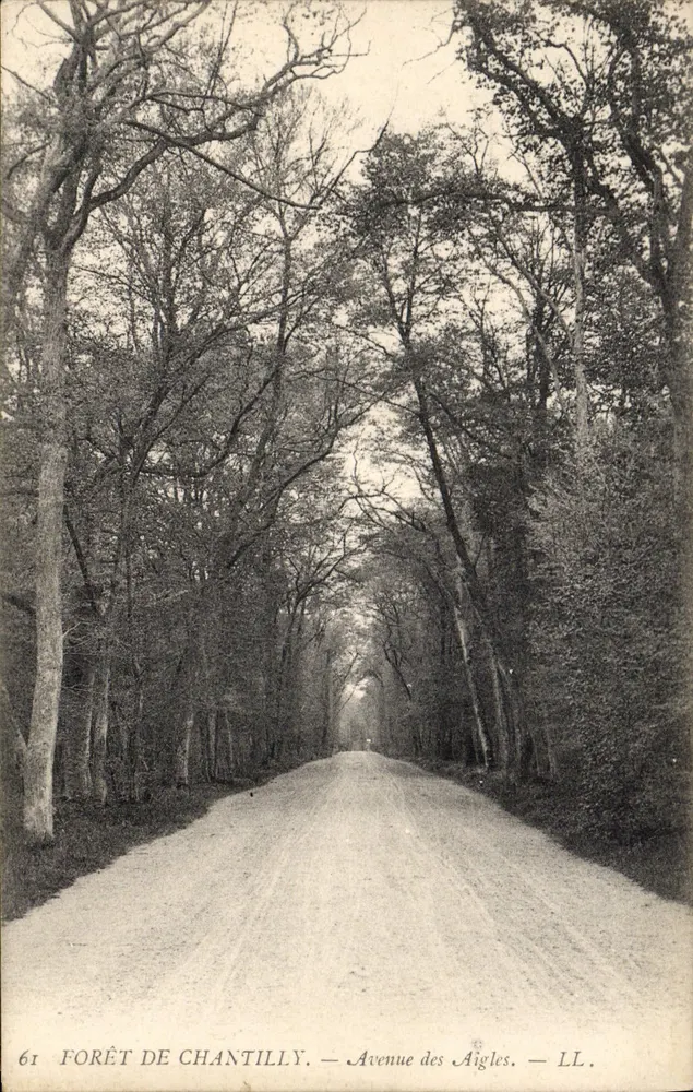 Floresta de Chantilly — Avenida dos Falcões — LL - Frente