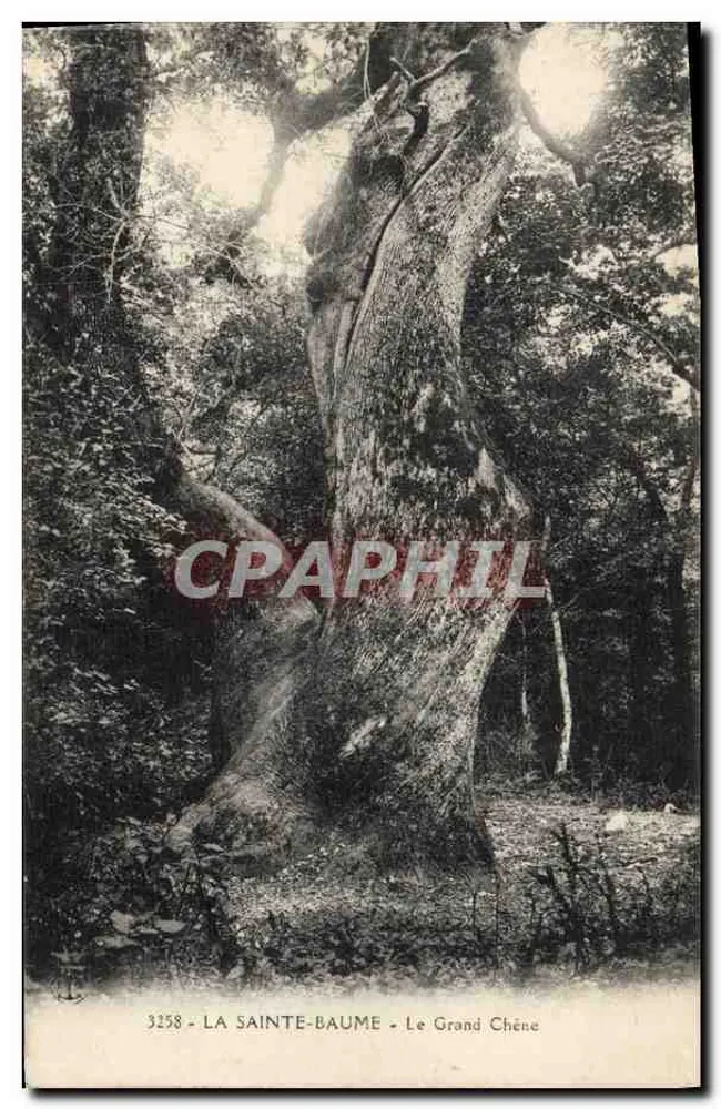 La Sainte-Baume - Le Grand Chêne — Antike Ansichtskarte n°3258, anonymer Verleger - Vorderseite