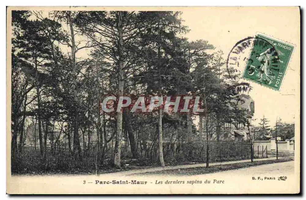 Parc-Saint-Maur — Die letzten Tannen im Park — B. F., PARIS - Vorderseite