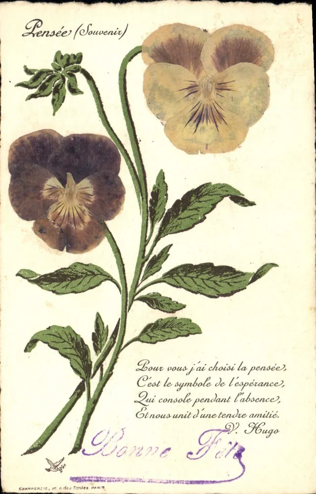 Pensamento (Lembrança) — Grampencis, 14 rue des Écoles, Paris — poema de V. Hugo - Frente