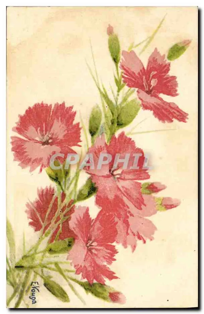 Geraniumbloemen — illustratie — Elouga, Vouga & Co., Genève, n° 67 - Voorkant