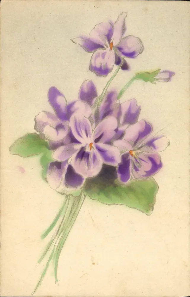 Violetas — ilustração aquarelada — Verlag H. W. B. - Frente