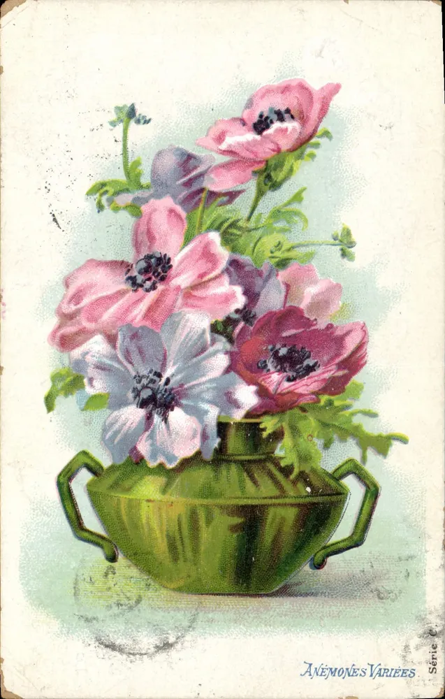 Anémones variées — bouquet dans un vase vert — éditeur anonyme, Série C - Vorderseite