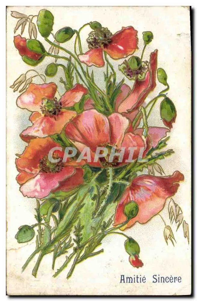 Bouquet de pavots — éditeur anonyme, sans numéro de série visible - Awers