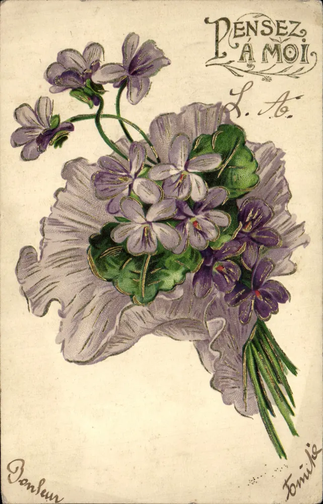 Arranjo de violetas — PENSEZ À MOI — S. A. — editor Ponseur, n° 1016 - Frente