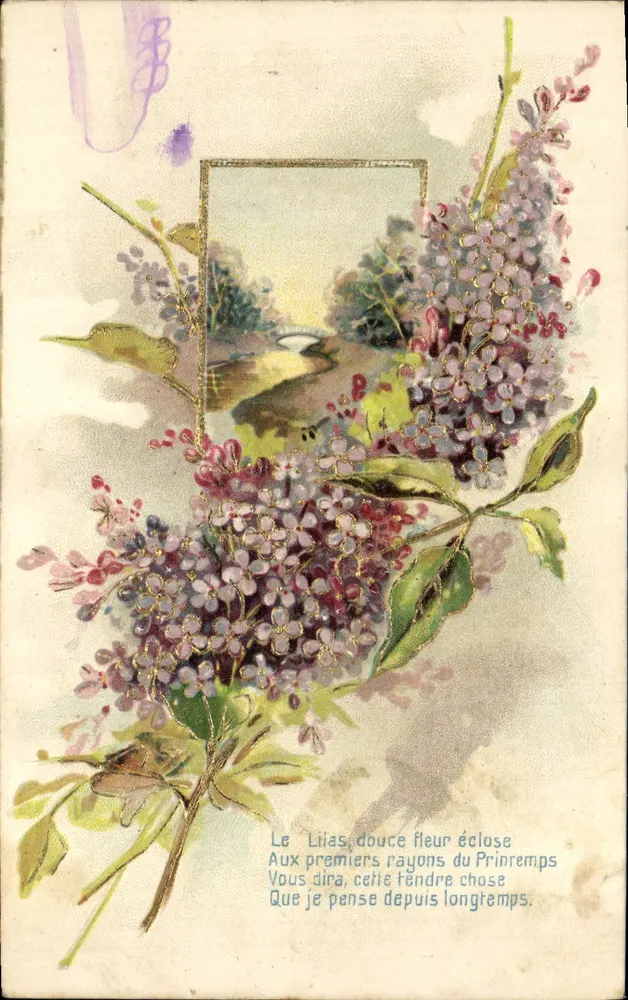 Lilás, suave flor em flor — poema sobre a primavera — editor não visível - Frente
