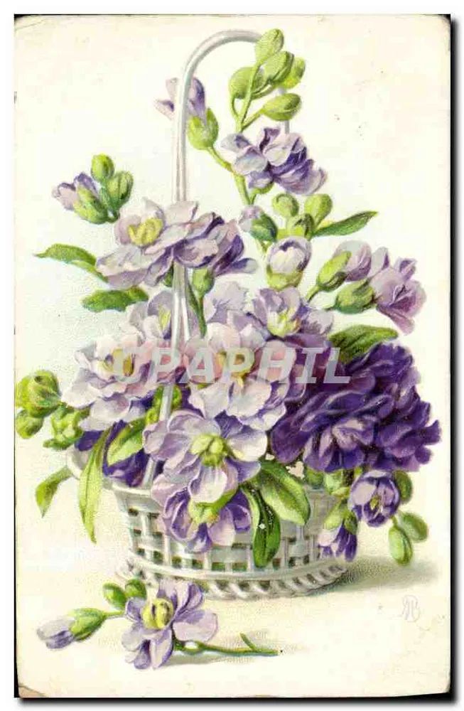 Arranjo de flores violetas em um cesto — ilustração — editor R. (monograma) e número de série não visível - Frente