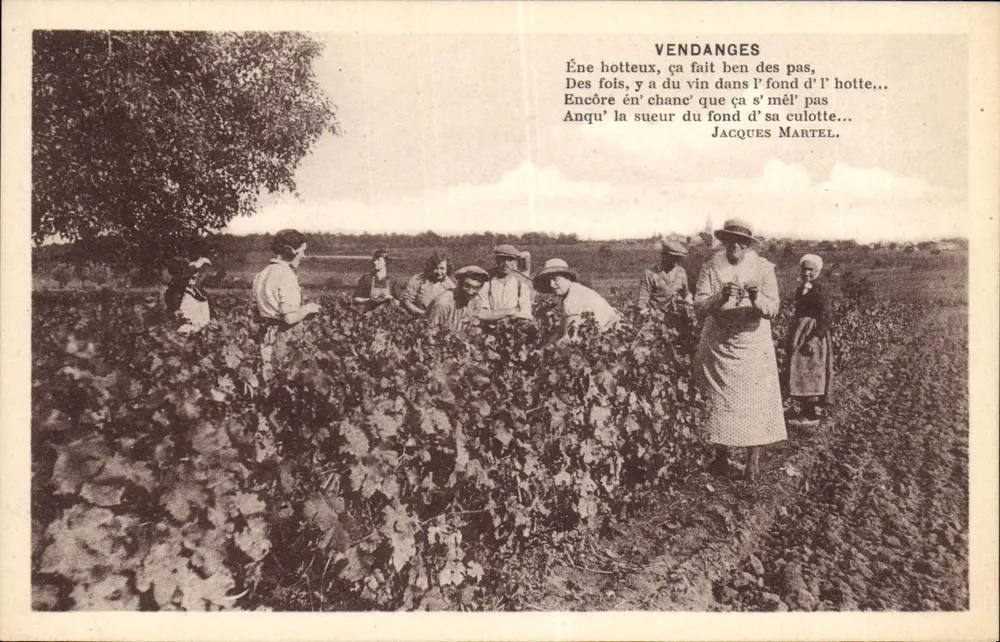 Vendanges — Jacques Martel — texto humorístico - Frente
