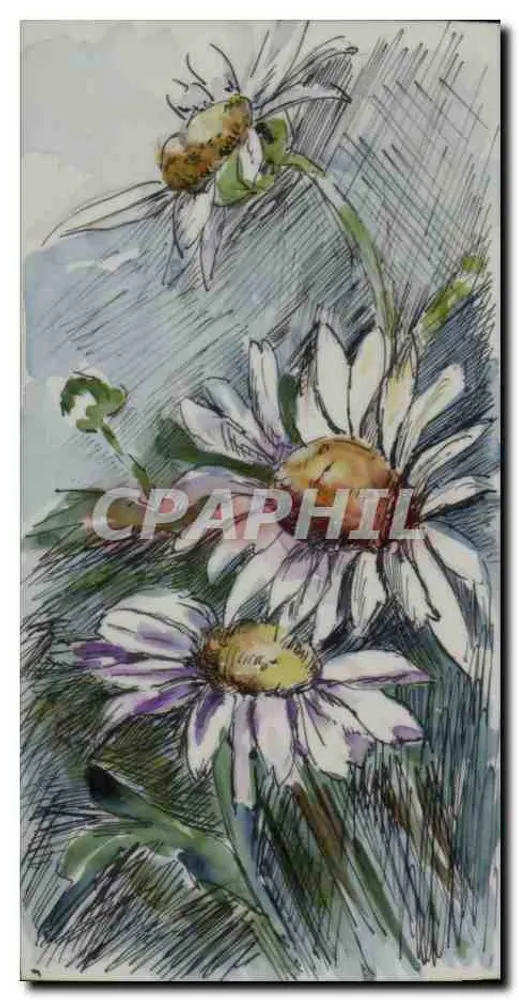 Flores de margaridas — desenho a tinta e aquarela — editor não visível - Frente
