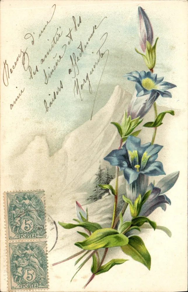 Flores azuis — montanhas no fundo — editor não visível - Frente