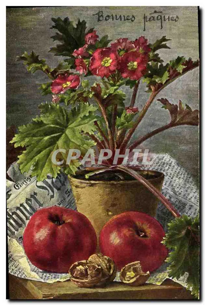 Flores e frutas — Boas festas — editor Hildesheimer & Co. Ltd. n° 1245 - Frente