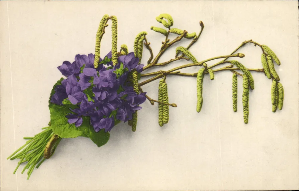 Arranjo de violetas e galhos de carvalho — editor Martin Rommel & Co, Stuttgart - Frente