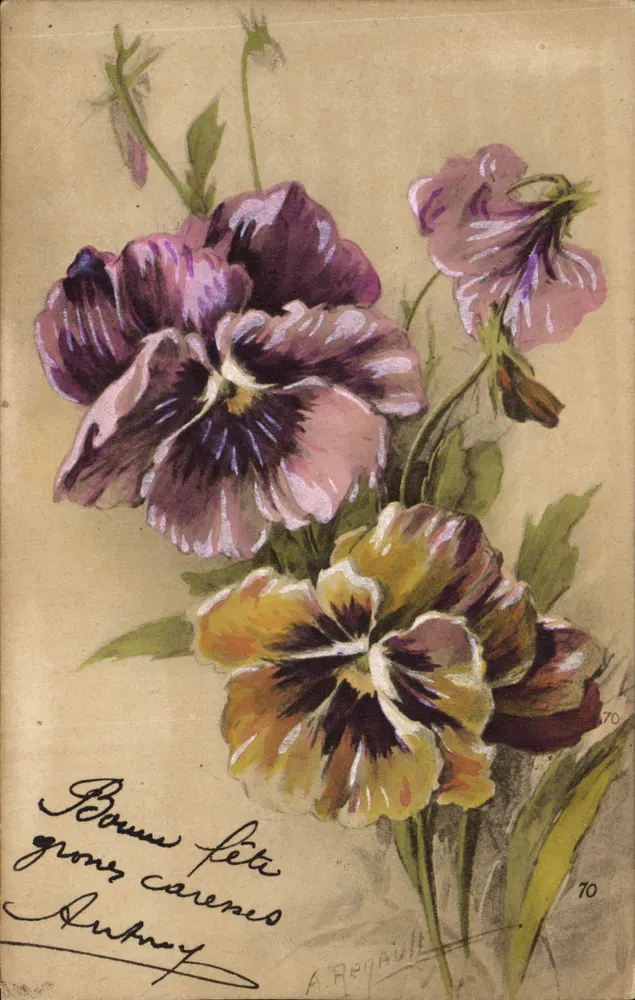 Flores de pensamento — A. Regaulle, n° 70 - Frente