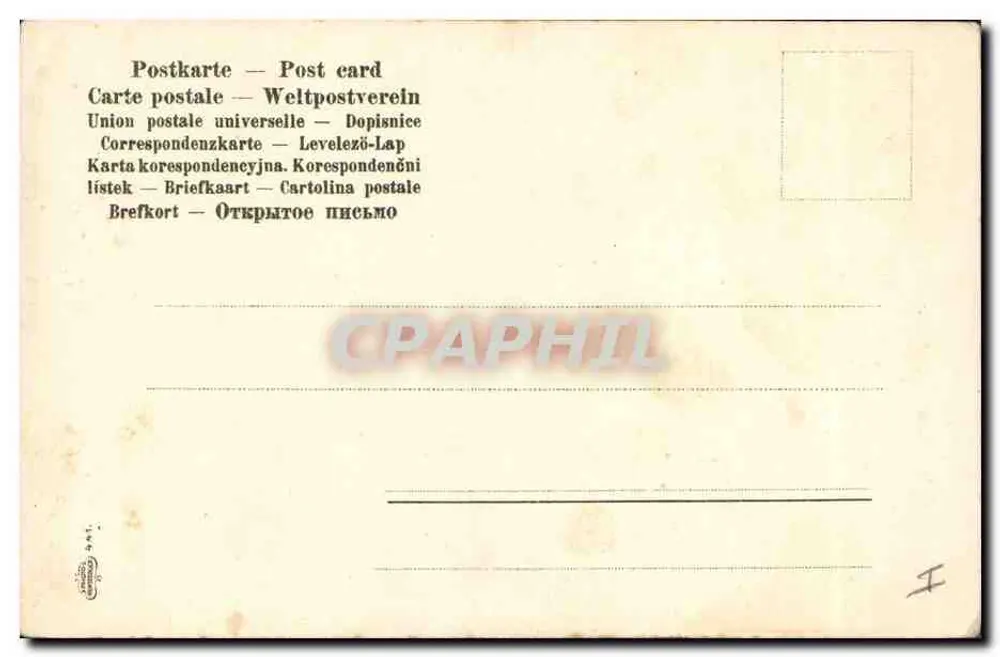 Anémonas — ilustração botânica — editor desconhecido - Verso