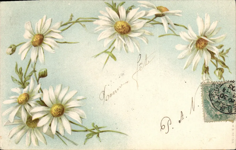 Flores de margaridas — Carta postal da União Postal Universal — editor P.A.N. - Frente