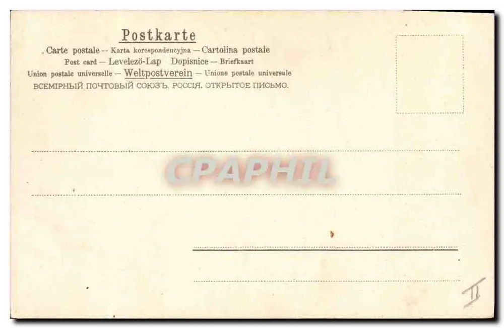 Flores de margaridas — Carta postal da União Postal Universal — editor P.A.N. - Verso