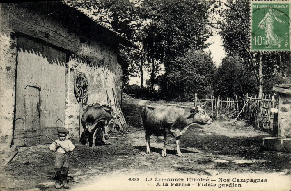 Auf dem Bauernhof — Treuer Wächter — Le Limousin Illustré — n°603 - Vorderseite