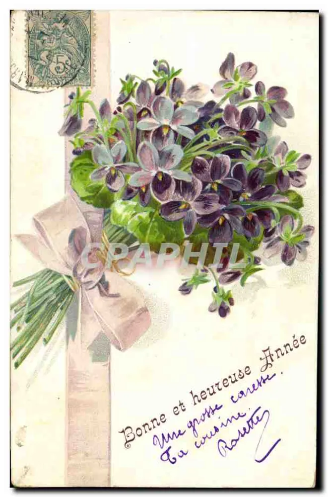 Arranjo de violetas — Boa e feliz Ano — editor não visível - Frente