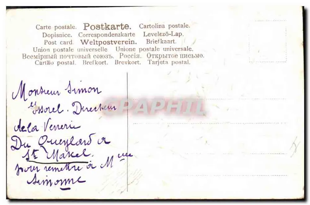 Arranjo de violetas — Boa e feliz Ano — editor não visível - Verso