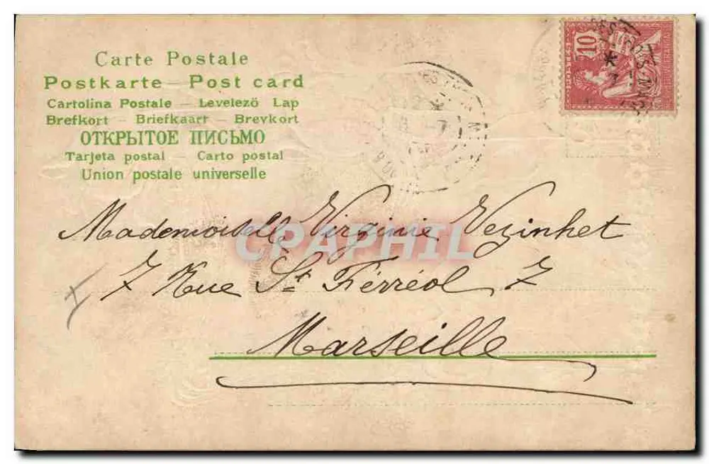 Tulipas rosas — Carta de boas-vindas — Carta Postal Levelezó Lap - Verso