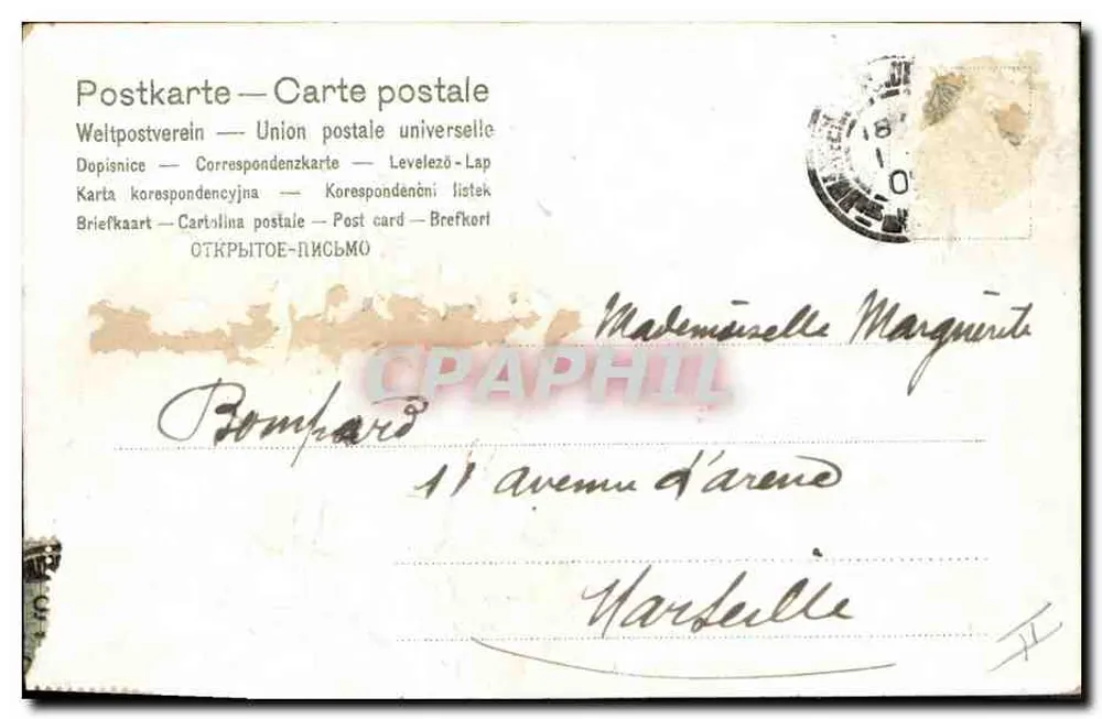Kwiaty wiosenne — Nenuphars i fioletki — Wydawca anonimowy, seria 177 - Rewers