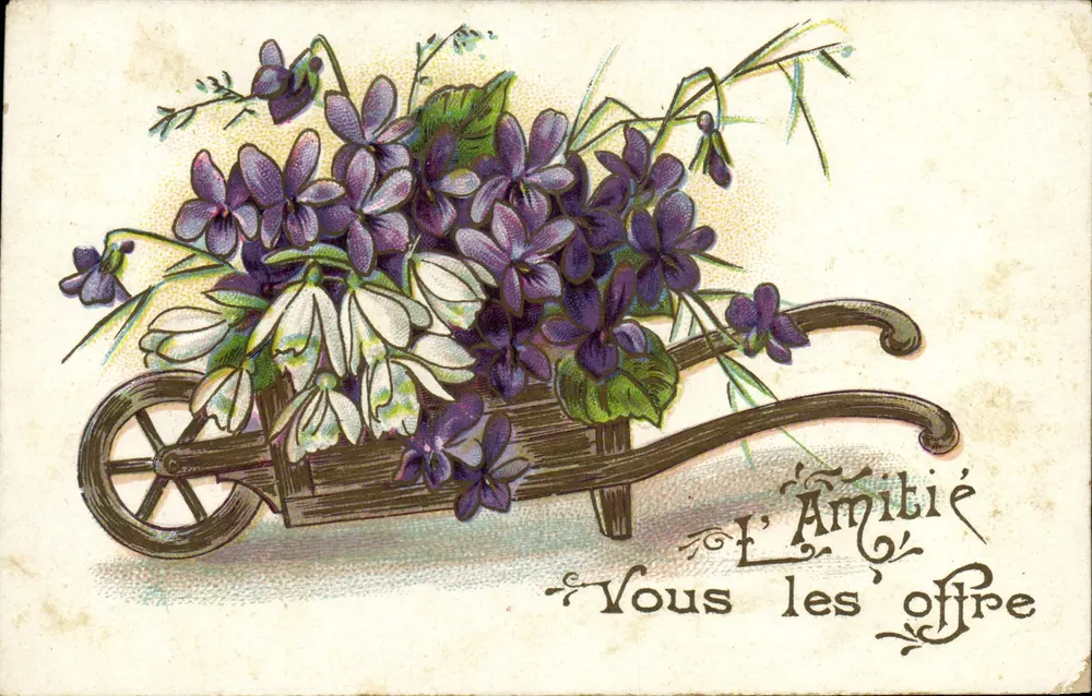 Violas e flores brancas em um carrinho — A Amizade as oferece — J.C. Paris - Frente