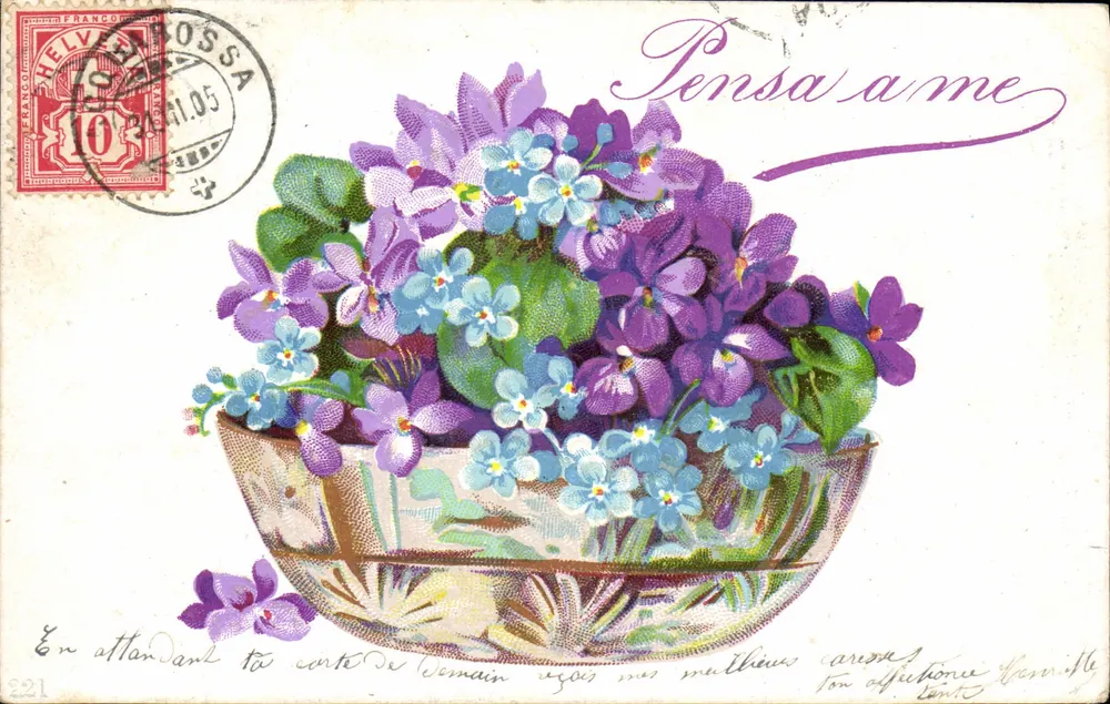 Arranjo de violetas e esqueiros — editor Acquarossa, n°221 - Frente