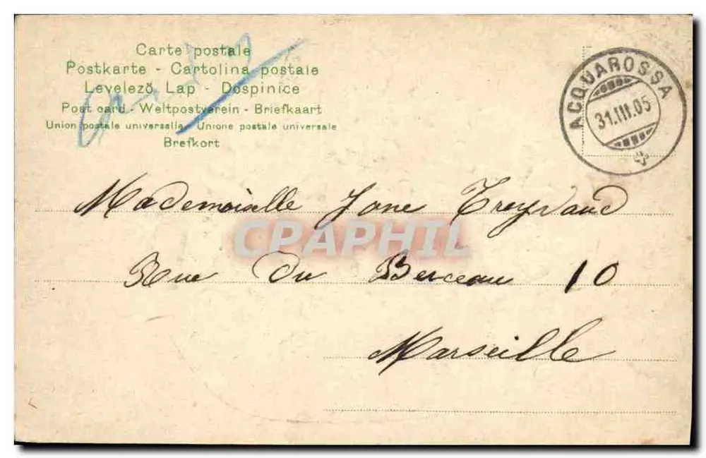 Arranjo de violetas e esqueiros — editor Acquarossa, n°221 - Verso