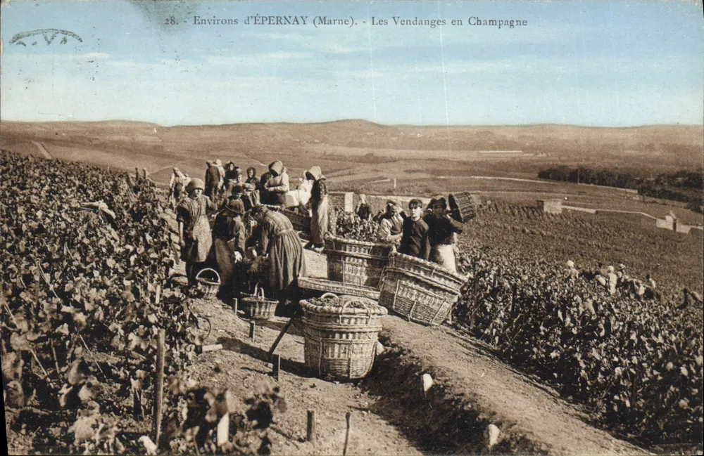 Arredores de ÉPERNAY (Marne) — As Colheitas na Champagne — Edição Bourgogne Frères, Château Thierry, n°28 - Frente