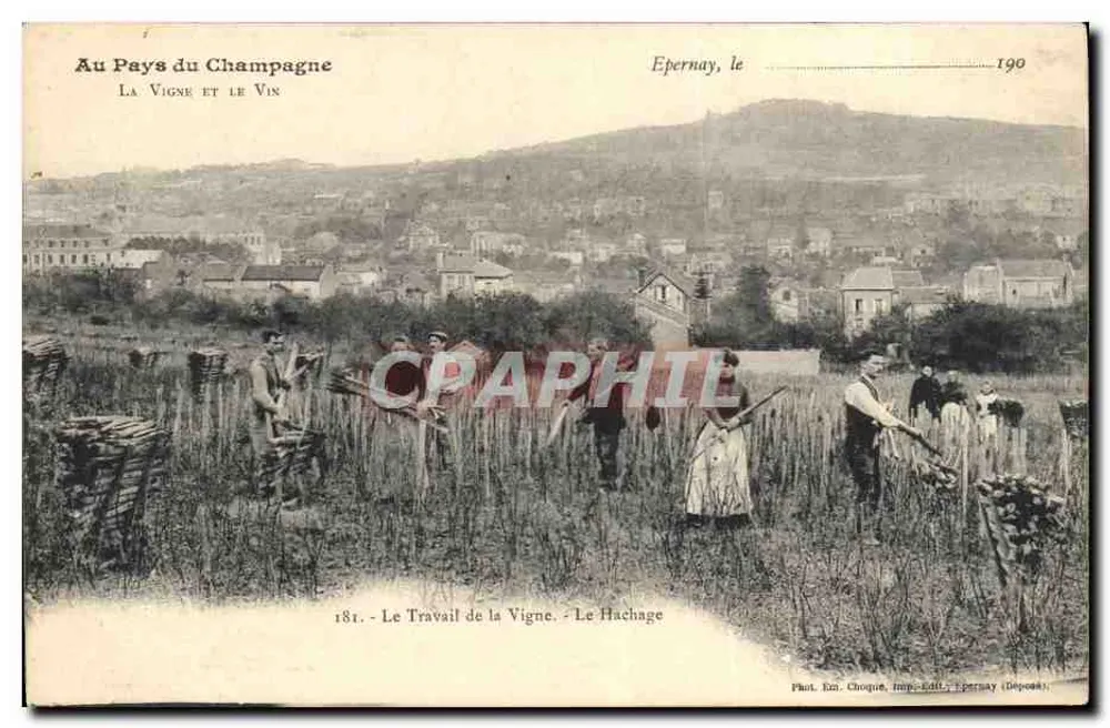 Epernay, le 190 — Die Arbeit der Weinrebe. Das Hachieren — Foto. Em. Chogue, Druck. Edil, Epernay (Deposité) - Vorderseite