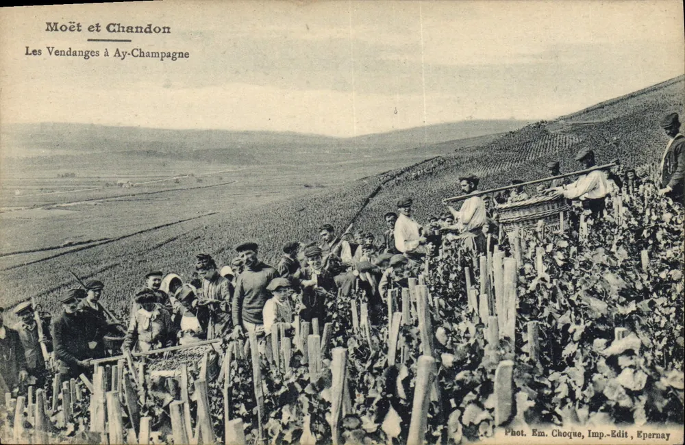 Die Weinlese in Ay-Champagne — Moët et Chandon — Foto. Em. Choque, Verlag, Epernay - Vorderseite