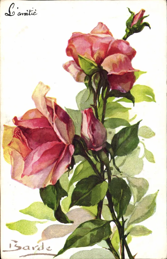 Rosa grande flor — A amizade — Color Paris, n° 518 - Frente