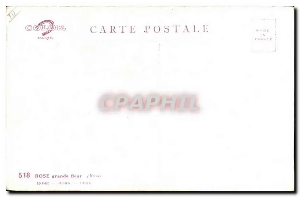 Rosa grande flor — A amizade — Color Paris, n° 518 - Verso